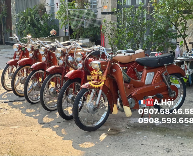 AV89 Nguyên bản TEST